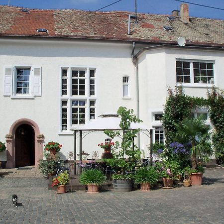 Bio-Weingut, Gaestehaus Und Kraeuterhof Flomborn Eksteriør billede