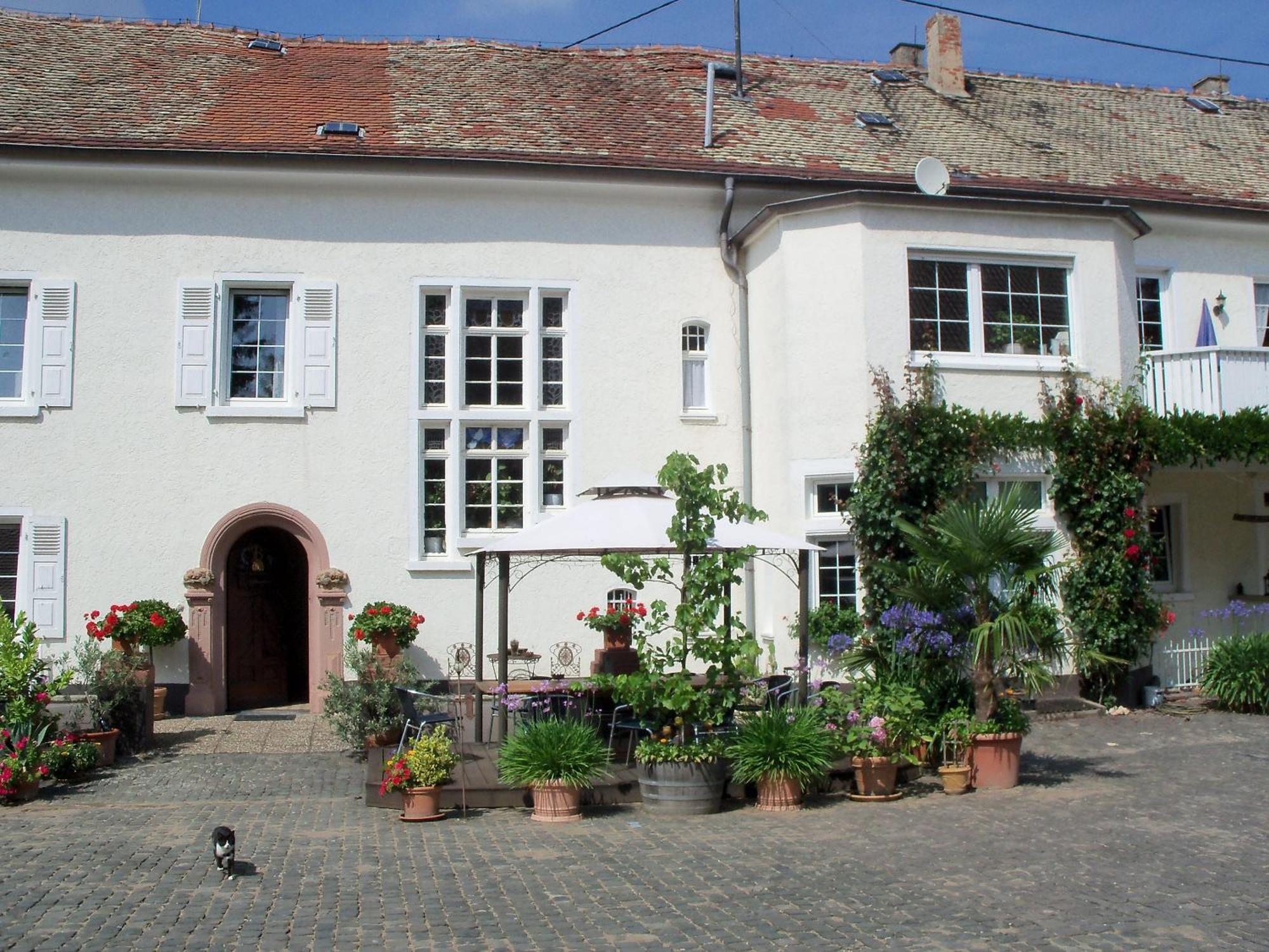 Bio-Weingut, Gaestehaus Und Kraeuterhof Flomborn Eksteriør billede