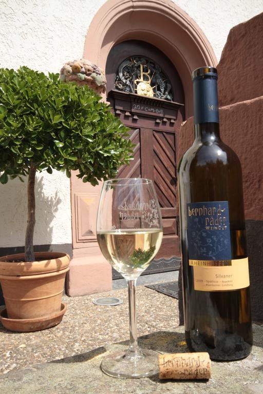 Bio-Weingut, Gaestehaus Und Kraeuterhof Flomborn Eksteriør billede